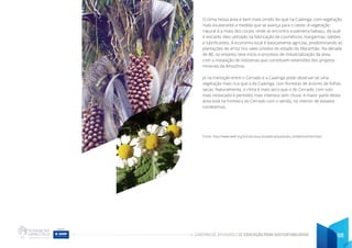 CADERNO DE ATIVIDADES DE EDUCAÇÃO PARA SUSTENTABILIDADE 68
O clima nessa área é bem mais úmido do que na Caatinga, com vegetação
mais exuberante a medida que se avança para o oeste. A vegetação
natural é a mata dos cocais, onde se encontra a palmeira babaçu, da qual
é extraído óleo utilizado na fabricação de cosméticos, margarinas, sabões
e lubrificantes. A economia local é basicamente agrícola, predominando as
plantações de arroz nos vales úmidos do estado do Maranhão. Na década
de 80, no entanto, teve início o processo de industrialização da área,
com a instalação de indústrias que constituem extensões dos projetos
minerais da Amazônia.
Já na transição entre o Cerrado e a Caatinga pode observar-se uma
vegetação mais rica que a da Caatinga, com florestas de árvores de folhas
secas. Naturalmente, o clima é mais seco que o do Cerrado, com solo
mais ressecado e períodos mais intensos sem chuva. A maior parte desta
área está na fronteira do Cerrado com o sertão, no interior de estados
nordestinos.
Fonte: http://www.wwf.org.br/natureza_brasileira/questoes_ambientais/biomas/
 