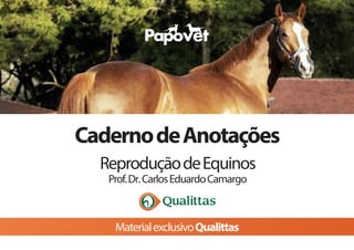 CadernodeAnotações
ReproduçãodeEquinos
Prof.Dr.CarlosEduardoCamargo
MaterialexclusivoQualittas
 