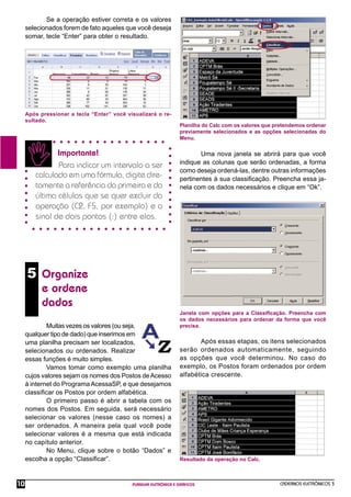 Se a operação estiver correta e os valores
     selecionados forem de fato aqueles que você deseja
     somar, tecle “Enter” para obter o resultado.




     Após pressionar a tecla “Enter” você visualizará o re-
     sultado.
                                                                  Planilha do Calc com os valores que pretendemos ordenar
                                                                  previamente selecionados e as opções selecionadas do
                                                                  Menu.

               Importante!                                               Uma nova janela se abrirá para que você
                                                                  indique as colunas que serão ordenadas, a forma
               Para indicar um intervalo a ser
                                                                  como deseja ordená-las, dentre outras informações
        calculado em uma fórmula, digite dire-                    pertinentes à sua classiﬁcação. Preencha essa ja-
        tamente a referência da primeira e da                     nela com os dados necessários e clique em “Ok”.
        última células que se quer excluir da
        operação (C2, F5, por exemplo) e o
        sinal de dois pontos (:) entre elas.




     5 Organize
           e ordene
           dados
                                                                  Janela com opções para a Classiﬁcação. Preencha com
                                                                  os dados necessários para ordenar da forma que você
             Muitas vezes os valores (ou seja,                    precisa.
     qualquer tipo de dado) que inserimos em
     uma planilha precisam ser localizados,                              Após essas etapas, os itens selecionados
     selecionados ou ordenados. Realizar                          serão ordenados automaticamente, seguindo
     essas funções é muito simples.                               as opções que você determinou. No caso do
             Vamos tomar como exemplo uma planilha                exemplo, os Postos foram ordenados por ordem
     cujos valores sejam os nomes dos Postos de Acesso            alfabética crescente.
     à internet do Programa AcessaSP, e que desejamos
     classiﬁcar os Postos por ordem alfabética.
             O primeiro passo é abrir a tabela com os
     nomes dos Postos. Em seguida, será necessário
     selecionar os valores (nesse caso os nomes) a
     ser ordenados. A maneira pela qual você pode
     selecionar valores é a mesma que está indicada
     no capítulo anterior.
             No Menu, clique sobre o botão “Dados” e
     escolha a opção “Classiﬁcar”.                                Resultado da operação no Calc.



10                                          PLANILHA ELETRÔNICA E GRÁFICOS                             CADERNOS ELETRÔNICOS 3
 