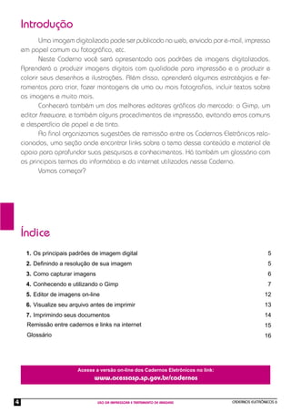 Introdução
           Uma imagem digitalizada pode ser publicada na web, enviada por e-mail, impressa
    em papel comum ou fotográﬁco, etc.
           Neste Caderno você será apresentado aos padrões de imagens digitalizados.
    Aprenderá a produzir imagens digitais com qualidade para impressão e a produzir e
    colorir seus desenhos e ilustrações. Além disso, aprenderá algumas estratégias e fer-
    ramentas para criar, fazer montagens de uma ou mais fotograﬁas, incluir textos sobre
    as imagens e muito mais.
           Conhecerá também um dos melhores editores gráﬁcos do mercado: o Gimp, um
    editor freeware, e também alguns procedimentos de impressão, evitando erros comuns
    e desperdício de papel e de tinta.
           Ao ﬁnal organizamos sugestões de remissão entre os Cadernos Eletrônicos rela-
    cionados, uma seção onde encontrar links sobre o tema desse conteúdo e material de
    apoio para aprofundar suas pesquisas e conhecimentos. Há também um glossário com
    os principais termos da informática e da internet utilizados nesse Caderno.
           Vamos começar?




    Índice
     1. Os principais padrões de imagem digital                                                       5
     2. Deﬁnindo a resolução de sua imagem                                                            5
     3. Como capturar imagens                                                                         6
     4. Conhecendo e utilizando o Gimp                                                                7
     5. Editor de imagens on-line                                                                   12
     6. Visualize seu arquivo antes de imprimir                                                     13
     7. Imprimindo seus documentos                                                                  14
      Remissão entre cadernos e links na internet                                                   15
      Glossário                                                                                     16




                         Acesse a versão on-line dos Cadernos Eletrônicos no link:
                               www.acessasp.sp.gov.br/cadernos


4                                USO DA IMPRESSORA E TRATAMENTO DE IMAGENS           CADERNOS ELETRÔNICOS 6
 