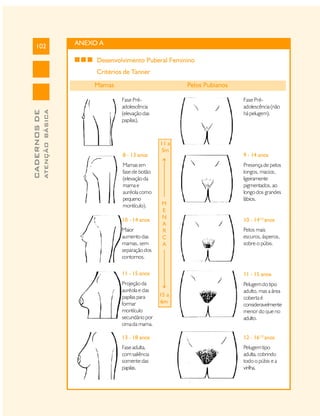 102

ANEXO A
Desenvolvimento Puberal Feminino
Critérios de Tanner

ATENÇÃO BÁSICA

CADERNOS DE

Mamas

Pelos Pubianos
Fase Préadolescência
(elevação das
papilas).

8 - 13 anos
Mamas em
fase de botão
(elevação da
mama e
auréola como
pequeno
montículo).
10 - 14 anos
Maior
aumento das
mamas, sem
separação dos
contornos.

Fase Préadolescência (não
há pelugem).

11 a
5m

M
E
N
A
R
C
A

9 - 14 anos
Presença de pelos
longos, macios,
ligeiramente
pigmentados, ao
longo dos grandes
lábios.

10 - 141/2 anos
Pelos mais
escuros, ásperos,
sobre o púbis.

11 - 15 anos

11 - 15 anos

Projeção da
auréola e das
papilas para
formar
montículo
secundário por
cima da mama.

Pelugem do tipo
adulto, mas a área
coberta é
consideravelmente
menor do que no
adulto.

15 a
6m

13 - 18 anos

12 - 161/2 anos

Fase adulta,
com saliência
somente das
papilas.

Pelugem tipo
adulta, cobrindo
todo o púbis e a
virilha.

 
