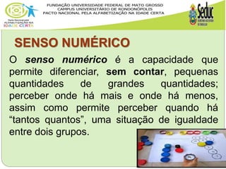 SENSO NUMÉRICO
O senso numérico é a capacidade que
permite diferenciar, sem contar, pequenas
quantidades de grandes quantidades;
perceber onde há mais e onde há menos,
assim como permite perceber quando há
“tantos quantos”, uma situação de igualdade
entre dois grupos.
 