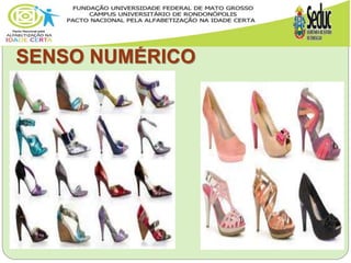 SENSO NUMÉRICO
 