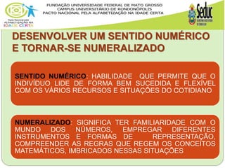 DESENVOLVER UM SENTIDO NUMÉRICO
E TORNAR-SE NUMERALIZADO
SENTIDO NUMÉRICO: HABILIDADE QUE PERMITE QUE O
INDIVÍDUO LIDE DE FORMA BEM SUCEDIDA E FLEXÍVEL
COM OS VÁRIOS RECURSOS E SITUAÇÕES DO COTIDIANO
NUMERALIZADO: SIGNIFICA TER FAMILIARIDADE COM O
MUNDO DOS NÚMEROS, EMPREGAR DIFERENTES
INSTRUMENTOS E FORMAS DE REPRESENTAÇÃO,
COMPREENDER AS REGRAS QUE REGEM OS CONCEITOS
MATEMÁTICOS, IMBRICADOS NESSAS SITUAÇÕES
 