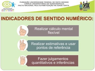 INDICADORES DE SENTIDO NUMÉRICO:
Realizar cálculo mental
flexível
Realizar estimativas e usar
pontos de referência
Fazer julgamentos
quantitativos e inferências
 