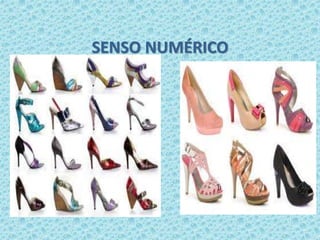 SENSO NUMÉRICO 
 