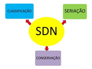CLASSIFICAÇÃO SERIAÇÃO
CONSERVAÇÃO
SDN
 