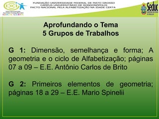 Aprofundando o Tema 
5 Grupos de Trabalhos 
G 1: Dimensão, semelhança e forma; A 
geometria e o ciclo de Alfabetização; páginas 
07 a 09 – E.E. Antônio Carlos de Brito 
G 2: Primeiros elementos de geometria; 
páginas 18 a 29 – E.E. Mario Spinelii 
 
