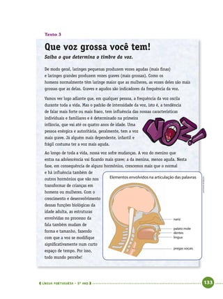  língua portuguesa • 5O
ANO      133  
Texto 3
Que voz grossa você tem!
Saiba o que determina o timbre da voz.
De modo geral, laringes pequenas produzem vozes agudas (mais finas)
e laringes grandes produzem vozes graves (mais grossas). Como os
homens normalmente têm laringe maior que as mulheres, as vozes deles são mais
grossas que as delas. Graves e agudos são indicadores da frequência da voz.
Vamos ver logo adiante que, em qualquer pessoa, a frequência da voz oscila
durante toda a vida. Mas o padrão de intensidade da voz, isto é, a tendência
de falar mais forte ou mais fraco, tem influência das nossas características
individuais e familiares e é determinado na primeira
infância, que vai até os quatro anos de idade. Uma
pessoa enérgica e autoritária, geralmente, tem a voz
mais grave. Já alguém mais dependente, infantil e
frágil costuma ter a voz mais aguda.
Ao longo de toda a vida, nossa voz sofre mudanças. A voz do menino que
entra na adolescência vai ficando mais grave; a da menina, menos aguda. Nesta
fase, em consequência de alguns hormônios, crescemos mais que o normal
e há influência também de
outros hormônios que vão nos
transformar de crianças em
homens ou mulheres. Com o
crescimento e desenvolvimento
dessas funções biológicas da
idade adulta, as estruturas
envolvidas no processo da
fala também mudam de
forma e tamanho, fazendo
com que a voz se modifique
significativamente num curto
espaço de tempo. Por isso,
todo mundo percebe!
antoniorobson
Elementos envolvidos na articulação das palavras
nariz
palato mole
dentes
língua
pregas vocais
 