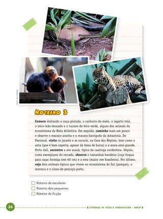  26      cadernos de apoio e aprendizagem · SmESP 
	Roteiro de escolares
	Roteiro dos pequenos
	Roteiro de ficção
Roteiro 3
Comece visitando a onça-pintada, o cachorro-do-mato, o lagarto teiú,
o mico-leão-dourado e o tucano-de-bico-verde, alguns dos animais do
ecossistema da Mata Atlântica. Em seguida, caminhe mais um pouco
e observe o macaco-aranha e o macaco-barrigudo da Amazônia. Do
Pantanal, visite os jacarés e as sucuris, na Casa dos Répteis, bem como a
anta (que é bem esperta, apesar da fama de burra) e a arara-azul-grande.
Perto dali, encontre a ave acauã, típica da caatinga nordestina. Depois,
como exemplares do cerrado, observe o tamanduá-bandeira (cuja língua
para caçar formiga tem 60 cm) e a ema (maior ave brasileira). Por último,
veja dois animais típicos que vivem no ecossistema do Sul (pampas), o
marreco e o cisne-de-pescoço-preto.
Fotos:IvanCarneiro
 