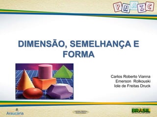 DIMENSÃO, SEMELHANÇA E 
FORMA 
Carlos Roberto Vianna 
Emerson Rolkouski 
Iole de Freitas Druck 
 