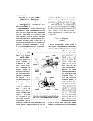 PORQUE OUVIMOS E COMO
FUNCIONA A AUDIÇÃO
O sistema auditivo é composto de 3 com-
partimentos (Figura 2):
 o ouvido externo- formado pela orelha e o
canal auditivo (local onde às vezes acumula
cera) que tem a função de facilitar a captação
do som e o amplifica nas freqüências mais
altas. Este fato é uma das principais razões do
porque embora o ruído predominante nas fábri-
cas tenha freqüência entre 1000 e 2000 hz, a
lesão observada no trabalhador compromete
primeiro a audição de sons de 3000 a 6000 hz.
O ouvido externo funciona como um amplifica-
dor para freqüências altas, chegando a aumen-
tar a pressão sonora
na freqüência de 3000
Hz em até 20 decibeis;
 o ouvido médio -
composto pela mem-
brana timpânica (o
tímpano) e de 3 ossí-
culos (ossos peque-
nos) chamados de
estribo, martelo e
bigorna e dois múscu-
los, um chamado esta-
pedio e o outro tensor
do tímpano. Os 3
ossos tem a função de
facilitar a transmissão
da energia sonora que
chega na membrana
para o interior de
canais cheios de lí-
quido, onde a energia
sonora é convertida
em hidráulica. A ma-
neira como eles estão
organizados tem a
função de compensar a perda de energia que
ocorre quando a energia passa do ar para um
meio líquido. Os dois músculos, quando estimu-
lados, se contraem, tendo a função de proteger
o ouvido contra efeito de som muito elevado;
 o ouvido interno - formado pela cóclea
que contém os elementos sensoriais para a
audição e o sistema vestibular responsável pelo
nosso equilíbrio (este, quando alterado a
pessoa pode apresentar vertigens, como ocorre
na labirintite).
Como percebemos
os sons?
A onda sonora atinge a cabeça, penetra no
canal auditivo e atinge a membrana timpânica,
vibrando-a. Esta membrana ao vibrar pela pres-
são dos sons, movi-
menta os 3 ossinhos
que pressionam um
líquido que existe
dentro de canais cha-
mados escalas, que
fazem parte da cóclea.
Este líquido pressio-
nado, se movimenta e
estimula as células
ciliadas existentes nu-
ma estrutura da cóclea,
chamada órgão de
Corti, que transformam
a energia mecânica da
onda sonora em impul-
sos elétricos e os trans-
mitem ao cérebro, atra-
vés do nervo acústico,
informando da chegada
de um determinado
som. Isto ocorre, por
exemplo, quando al-
gum barulho ocorre
inesperadamente perto
de nós. Se um cão late, o ouvido capta a ener-
gia sonora emitida pelo latido, processa a ener-
- 12-
Exposição a ruído
FIG.2. ESTRUTURADOOUVIDOEXTERNO , MÉDIO E INTERNO.
NAP ARTEINFERIORDAFIGURAPODE -SEVER A CÓCLEA EO
APARELHOVESTIBULARFORMADO PELOS 3 CANAISSEMICIRCU-
LARES, SÁCULO E UTRÍCULORESPONSÁVELPELOEQUILÍBRIO
2
 