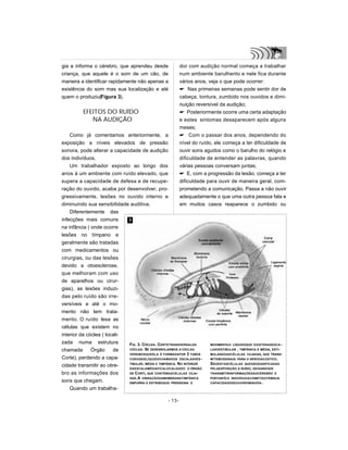 gia e informa o cérebro, que aprendeu desde
criança, que aquele é o som de um cão, de
maneira a identificar rapidamente não apenas a
existência do som mas sua localização e até
quem o produziu(Figura 3).
EFEITOS DO RUÍDO
NA AUDIÇÃO
Como já comentamos anteriormente, a
exposição a níveis elevados de pressão
sonora, pode alterar a capacidade de audição
dos indivíduos.
Um trabalhador exposto ao longo dos
anos à um ambiente com ruído elevado, que
supera a capacidade de defesa e de recupe-
ração do ouvido, acaba por desenvolver, pro-
gressivamente, lesões no ouvido interno e
diminuindo sua sensibilidade auditiva.
Diferentemente das
infecções mais comuns
na infância ( onde ocorre
lesões no tímpano e
geralmente são tratadas
com medicamentos ou
cirurgias, ou das lesões
devido a otoesclerose,
que melhoram com uso
de aparelhos ou cirur-
gias), as lesões induzi-
das pelo ruído são irre-
versíveis e até o mo-
mento não tem trata-
mento. O ruído lesa as
células que existem no
interior da cóclea ( locali-
zada numa estrutura
chamada Órgão de
Corte), perdendo a capa-
cidade transmitir ao cére-
bro as informações dos
sons que chegam.
Quando um trabalha-
dor com audição normal começa a trabalhar
num ambiente barulhento e nele fica durante
vários anos, veja o que pode ocorrer:
 Nas primeiras semanas pode sentir dor de
cabeça, tontura, zumbido nos ouvidos e dimi-
nuição reversível da audição;
 Posteriormente ocorre uma certa adaptação
e estes sintomas desaparecem após alguns
meses;
 Com o passar dos anos, dependendo do
nível do ruído, ele começa a ter dificuldade de
ouvir sons agudos como o barulho do relógio e
dificuldade de entender as palavras, quando
várias pessoas conversam juntas;
 E, com a progressão da lesão, começa a ter
dificuldade para ouvir de maneira geral, com-
prometendo a comunicação. Passa a não ouvir
adequadamente o que uma outra pessoa fala e
em muitos casos reaparece o zumbido ou
- 13-
FIG. 3. CÓCLEA. CORTETRANSVERSALDA
CÓCLEA. SE DESENROLARMOS A CÓCLEA
VEREMOSQUEELA É FORMADAPOR 3 TUBOS
CHEIOSDELÍQUIDOCHAMADOS ESCALASVES-
TIBULAR, MÉDIA E TIMPÂNICA. NO INTERIOR
DAESCALAMÉDIAFICALOCALIZADO O ÓRGÃO
DE CORTI, QUE CONTÉMASCÉLULAS CILIA-
DAS.A VIBRAÇÃODAMEMBRANATIMPÂNICA
EMPURRA O ESTRIBOQUE PRESSIONA E
MOVIMENTAO LÍQUIDOQUE EXISTENASESCA -
LASVESTIBULAR , TIMPÂNICA E MÉDIA, ESTI-
MULANDOASCÉLULAS CILIADAS, QUE TRANS-
MITEMOSSINAIS PARA O NERVOACÚSTICO.
SÃOESTASCÉLULAS QUESÃODANIFICADAS
PELAEXPOSIÇÃO A RUÍDO, DEIXANDODE
TRANSMITIRINFORMAÇÕESAOCÉREBRO E
PORTANTOO INDIVÍDUOACOMETIDOTEMSUA
CAPACIDADEDEOUVIRDIMINUÍDA .
3
 