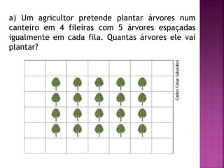 a) Um agricultor pretende plantar árvores num 
canteiro em 4 fileiras com 5 árvores espaçadas 
igualmente em cada fila. Quantas árvores ele vai 
plantar? 
 