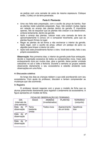 as pedras com uma camada de areia da mesma espessura. Coloque
       então, 3 (três) cm da terra peneirada.

                               Parte II: Plantando
   •   Uma vez feita esta preparação, com o auxílio da pinça de bambu, fixar
       as plantas neste substrato preparado. Aqui, não existem muitas regras
       em relação ao arranjo das plantas dentro da garrafa. É importante
       apenas, não se esquecer que as plantas irão crescer e se desenvolver,
       embora lentamente, dentro da garrafa.
   •   Após o arranjo das plantas, colocar mais uma camada de terra de
       aproximadamente 5 (cinco) cm e compactar levemente, para que as
       plantas fiquem firmes no lugar.
   •   Regar as plantas de tal forma a não encharcar o interior da garrafa.
       Após regar, com o auxílio da pinça, utilizar um pedaço de pano ou
       algodão para limpar o interior do vidro.
   •   Após todo este procedimento fechar o vidro. Você terá então, feito o seu
       próprio ecossistema.

   Observação: Nos primeiros dias, o interior da garrafa pode ficar embaçado,
   devido a respiração excessiva de todos os componentes vivos. Caso este
   embaçamento dure por muitos dias, abra a garrafa, deixe perder umidade
   colocando no sol e volte a fechá-la. Durante a semana os grupos estarão
   observando diariamente o seu ecossistema e estarão anotando suas
   observações em uma ficha.

4- Discussão coletiva:
      Ao longo dos dias as crianças relatam o que está acontecendo com seu
ecossistema. Com ajuda do professor, discutem e tentam compreender as
mudanças que vão ocorrendo.
5- Registro
       O professor deverá negociar com o grupo o modelo da ficha que os
alunos preencherão diariamente para registrar o andamento do ecossistema. A
figura apresenta um modelo de ficha.

                  FICHA DE OBSERVAÇÃO DO TERRÁRIO
      DIA           ÁGUA        ANIMAIS      PLANTAS              TERRÁRIO
 (intervalo de               (invertebrados)                       (conjunto)
uma semana)
Data da 1ª Terra                Todos vivos      Aparecimento    Aparência
observação     bastante                          de um broto     boa
  ________     úmida
Data da 2ª
observação
__________
Data da 3ª
observação
__________



                                                                             47
 