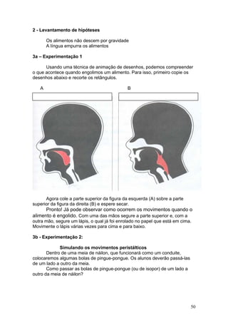 2 - Levantamento de hipóteses

       Os alimentos não descem por gravidade
       A língua empurra os alimentos

3a – Experimentação 1

      Usando uma técnica de animação de desenhos, podemos compreender
o que acontece quando engolimos um alimento. Para isso, primeiro copie os
desenhos abaixo e recorte os retângulos.

   A                                          B




      Agora cole a parte superior da figura da esquerda (A) sobre a parte
superior da figura da direita (B) e espere secar.
      Pronto! Já pode observar como ocorrem os movimentos quando o
alimento é engolido. Com uma das mãos segure a parte superior e, com a
outra mão, segure um lápis, o qual já foi enrolado no papel que está em cima.
Movimente o lápis várias vezes para cima e para baixo.

3b - Experimentação 2:

             Simulando os movimentos peristálticos
       Dentro de uma meia de náilon, que funcionará como um conduite,
colocaremos algumas bolas de pingue-pongue. Os alunos deverão passá-las
de um lado a outro da meia.
       Como passar as bolas de pingue-pongue (ou de isopor) de um lado a
outro da meia de náilon?




                                                                            50
 