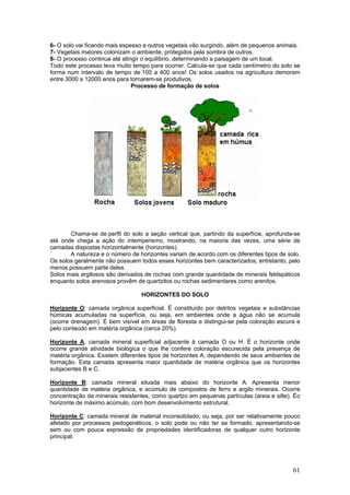 6- O solo vai ficando mais espesso e outros vegetais vão surgindo, além de pequenos animais.
7- Vegetais maiores colonizam o ambiente, protegidos pela sombra de outros.
8- O processo continua até atingir o equilíbrio, determinando a paisagem de um local.
Todo este processo leva muito tempo para ocorrer. Calcula-se que cada centímetro do solo se
forma num intervalo de tempo de 100 a 400 anos! Os solos usados na agricultura demoram
entre 3000 a 12000 anos para tornarem-se produtivos.
                               Processo de formação de solos




       Chama-se de perfil do solo a seção vertical que, partindo da superfície, aprofunda-se
até onde chega a ação do intemperismo, mostrando, na maioria das vezes, uma série de
camadas dispostas horizontalmente (horizontes).
       A natureza e o número de horizontes variam de acordo com os diferentes tipos de solo.
Os solos geralmente não possuem todos esses horizontes bem caracterizados, entretanto, pelo
menos possuem parte deles.
Solos mais argilosos são derivados de rochas com grande quantidade de minerais feldspáticos
enquanto solos arenosos provêm de quartzitos ou rochas sedimentares como arenitos.

                                 HORIZONTES DO SOLO

Horizonte O: camada orgânica superficial. É constituído por detritos vegetais e substâncias
húmicas acumuladas na superfície, ou seja, em ambientes onde a água não se acumula
(ocorre drenagem). É bem visível em áreas de floresta e distingui-se pela coloração escura e
pelo conteúdo em matéria orgânica (cerca 20%).

Horizonte A: camada mineral superficial adjacente à camada O ou H. É o horizonte onde
ocorre grande atividade biológica o que lhe confere coloração escurecida pela presença de
matéria orgânica. Existem diferentes tipos de horizontes A, dependendo de seus ambientes de
formação. Esta camada apresenta maior quantidade de matéria orgânica que os horizontes
subjacentes B e C.

Horizonte B: camada mineral situada mais abaixo do horizonte A. Apresenta menor
quantidade de matéria orgânica, e acúmulo de compostos de ferro e argilo minerais. Ocorre
concentração de minerais resistentes, como quartzo em pequenas partículas (areia e silte). Éo
horizonte de máximo acúmulo, com bom desenvolvimento estrutural.

Horizonte C: camada mineral de material inconsolidado, ou seja, por ser relativamente pouco
afetado por processos pedogenéticos, o solo pode ou não ter se formado, apresentando-se
sem ou com pouca expressão de propriedades identificadoras de qualquer outro horizonte
principal.




                                                                                          61
 