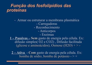 Função dos fosfolipídios das proteínas - Armar ou estruturar a membrana plasmática - Carregadoras - Reconhecimento - Anticorpos - Enzimas 1 – Passivos –   Sem  gasto de energia pela célula. Ex: difusão simples( O2 e CO2) , Difusão facilitada  (glicose e aminoácidos), Osmose (H2O) + > - 2 – Ativa  -  Com  gasto de energia pela célula. Ex:  bomba de sódio, bomba de potássio  - > + 