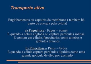 Transporte ativo Englobamentos ou capturas da membrana ( também há gasto de energia pela célula)  a) Fagocitose  - Fagos = comer É quando a célula engloba ou captura partículas sólidas. É comum em células fagocitárias como amebas e glóbulos brancos b) Pinocitose –  Pinus = beber É quando a célula captura partículas líquidas como uma grande gotícula de óleo por exemplo. 
