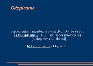 Citoplasma Espaço entre a membrana e o núcleo. Divide-se em: a) Paraplasma –  H2O + inclusões (moléculas) [hialoplasma ou citosol] b) Protoplasma  - Organelas 