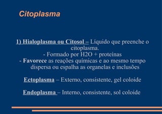 Citoplasma 1) Hialoplasma ou Citosol –  Líquido que preenche o citoplasma. - Formado por H2O + proteínas -  Favorece  as reações químicas e ao mesmo tempo dispersa ou espalha as organelas e inclusões Ectoplasma  – Externo, consistente, gel coloide Endoplasma  – Interno, consistente, sol coloide  
