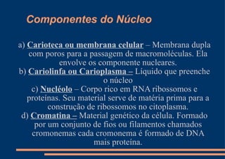 Componentes do Núcleo a)  Carioteca ou membrana celular  – Membrana dupla com poros para a passagem de macromoléculas. Ela envolve os componente nucleares. b)  Cariolinfa ou Carioplasma –  Líquido que preenche o núcleo c)  Nucléolo  – Corpo rico em RNA ribossomos e proteínas. Seu material serve de matéria prima para a construção de ribossomos no citoplasma. d)  Cromatina –  Material genético da célula. Formado por um conjunto de fios ou filamentos chamados cromonemas cada cromonema é formado de DNA mais proteína. 