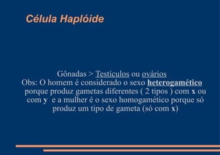 Célula Haplóide Gônadas >  Testículos  ou  ovários Obs: O homem é considerado o sexo  heterogamético  porque produz gametas diferentes ( 2 tipos ) com  x  ou com  y   e a mulher é o sexo homogamético porque só produz um tipo de gameta (só com  x ) 