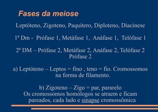Fases da meiose Leptóteno, Zigoteno, Paquítero, Diploteno, Diacinese 1ª Dm -  Prófase 1, Metáfase 1,  Anáfase 1,  Telófase 1 2ª DM – Prófase 2, Metáfase 2, Anáfase 2, Telófase 2 Prófase 2 a) Leptóteno – Leptos = fino , teno = fio. Cromossomos na forma de filamento. b) Zigoteno – Zigo = par, pararelo Os cromossomos homólogos se atraem e ficam pareados, cada lado e  sinapse  cromossômica  