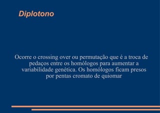 Diplotono Ocorre o crossing over ou permutação que é a troca de pedaços entre os homólogos para aumentar a variabilidade genética. Os homólogos ficam presos por pentas cromato de quiomar 