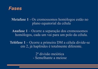 Fases Metafase 1  - Os cromossomos homólogos estão no plano equatorial da célula Anafase 1  – Ocorre a separação dos cromossomos homólogos, cada um vai para um polo da célula. Telófase 1  – Ocorre a primeira DM a célula divide-se em 2, já haplóides é totalmente diferente. 2ª divisão meiótica - Semelhante a meiose 