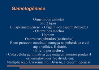Gametogênese Origem dos gametas São 2 tipos: 1) Espermatogênese  - Origem dos espermatozoides - Ocorre nos machos Homem  - Ocorre nas  gônadas  (testículos)  - É um processo contínuo, começa na puberdade e vai até a velhice. É diário. - É feito por  meiose . - Cada célula germinativa que entra em meiose produz 4 espermatozoides. Se divide em: Multiplicação, Crescimento, Divisão, e espermiogênese 