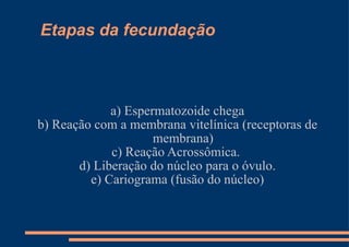 Etapas da fecundação a) Espermatozoide chega b) Reação com a membrana vitelínica (receptoras de membrana) c) Reação Acrossômica.  d) Liberação do núcleo para o óvulo. e) Cariograma (fusão do núcleo) 