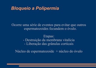Bloqueio a Polipermia Ocorre uma série de eventos para evitar que outros espermatozoides fecundem o óvulo. Etapas: - Destruição da membrana vitalícia - Liberação das grânulas corticais Núcleo de espermatozoide  + núcleo do óvulo 