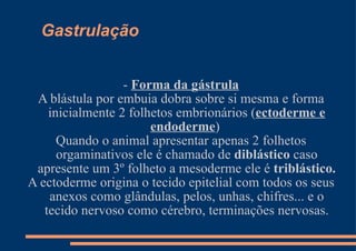 Gastrulação -  Forma da gástrula A blástula por embuia dobra sobre si mesma e forma inicialmente 2 folhetos embrionários ( ectoderme e endoderme )  Quando o animal apresentar apenas 2 folhetos orgaminativos ele é chamado de  diblástico  caso apresente um 3º folheto a mesoderme ele é  triblástico. A ectoderme origina o tecido epitelial com todos os seus anexos como glândulas, pelos, unhas, chifres... e o tecido nervoso como cérebro, terminações nervosas. 