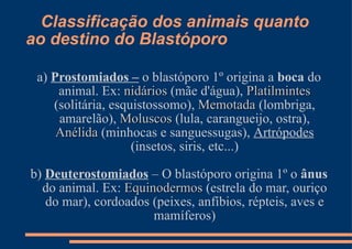 Classificação dos animais quanto ao destino do Blastóporo a)  Prostomiados –  o blastóporo 1º origina a  boca  do animal. Ex:  nidários  (mãe d'água),  Platilmintes  (solitária, esquistossomo),  Memotada  (lombriga, amarelão),  Moluscos  (lula, carangueijo, ostra),  Anélida  (minhocas e sanguessugas),  Artrópodes  (insetos, siris, etc...) b)  Deuterostomiados  – O blastóporo origina 1º o  ânus  do animal. Ex:  Equinodermos  (estrela do mar, ouriço do mar), cordoados (peixes, anfíbios, répteis, aves e mamíferos) 