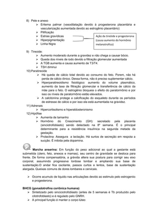 8) Pele e anexo
 Eritema palmar (vasodilatação devido à progesterona placentária e
vascularização aumentada devido ao estrogênio placentário)
 Pilificação
 Estrias gravídicas
 Hiperpigmentação
 Linha Nigra
9) Tireoide:
 Aumento moderado durante a gravidez e não chega a causar bócio.
 Queda dos níveis de iodo devido a filtração glomerular aumentada
 A TGB aumenta e causa aumento de T3/T4.
 TSH diminui
10) Paratireoide
 Há queda de cálcio total devido ao consumo do feto. Porem, não há
perda de cálcio iônico. Dessa forma, não é preciso suplementar cálcio.
 Hiperparatireoidismo fisiológico: aumento do volume plasmático,
aumento da taxa de filtração glomerular e transferência de cálcio da
mãe para o feto. O estrogênio bloqueia o efeito do paratormônio e por
isso os níveis de paratormônio estão elevados.
 A calcitonina protege a calcificação do esqueleto durante os períodos
de estresse de cálcio e por isso ela está aumentada na gravidez.
11) Adrenais
 Hipercortisolismo e hiperaldosteronismo
12) Hipófise
 Aumenta de tamanho
 Hormônio do Crescimento (GH): secretado pela placenta
(sinciotrofoblasto) sendo detectado na 8º semana. É o principal
determinante para a resistência insulínica na segunda metade da
gestação.
 Prolactina: Assegura a lactação. Há surtos de secreção em respota a
sucção. É inibida pela dopamina.
Marcha anserina: Em função do peso adicional ao qual a gestante está
submetida (útero, feto, anexos e mamas), seu centro de gravidade se desloca para
frente. De forma compensatória, a grávida altera sua postura para corrigir seu eixo
corporal, assumindo progressiva lordose lombar e ampliando sua base de
sustentação.O andar fica oscilante, passos curtos e lentos, base de sustentação
alargada. Queixas comuns de dores lombares e cervicais.
 Ocorre acumulo de liquido nas articulações devido ao estimulo pelo estrogeniio
e progesterona.
BHCG (gonadotrofina coriônica humana)
 Sintetizado pelo sinciciotrofoblasto (antes de 5 semanas é Tb produzido pelo
citotrofoblasto) e é regulado pelo GNRH.
 A principal função é manter o corpo lúteo
Ação da tireóide e progesterona
(causa aumento do hormônio
melanotrofico)
 