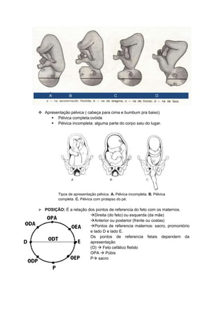 Apresentação pélvica ( cabeça para cima e bumbum pra baixo)
 Pélvica completa:ovóide
 Pélvica incompleta: alguma parte do corpo saiu do lugar.
Tipos de apresentação pélvica. A. Pélvica incompleta. B. Pélvica
completa. C. Pélvica com prolapso do pé.
 POSIÇÃO: É a relação dos pontos de referencia do feto com os maternos.
Direita (do feto) ou esquerda (da mãe)
Anterior ou posterior (frente ou costas)
Pontos de referencia maternos: sacro, promontório
e lado D e lado E.
Os pontos de referencia fetais dependem da
apresentação
(O)  Feto cefálico fletido
OPA  Púbis
P sacro
 