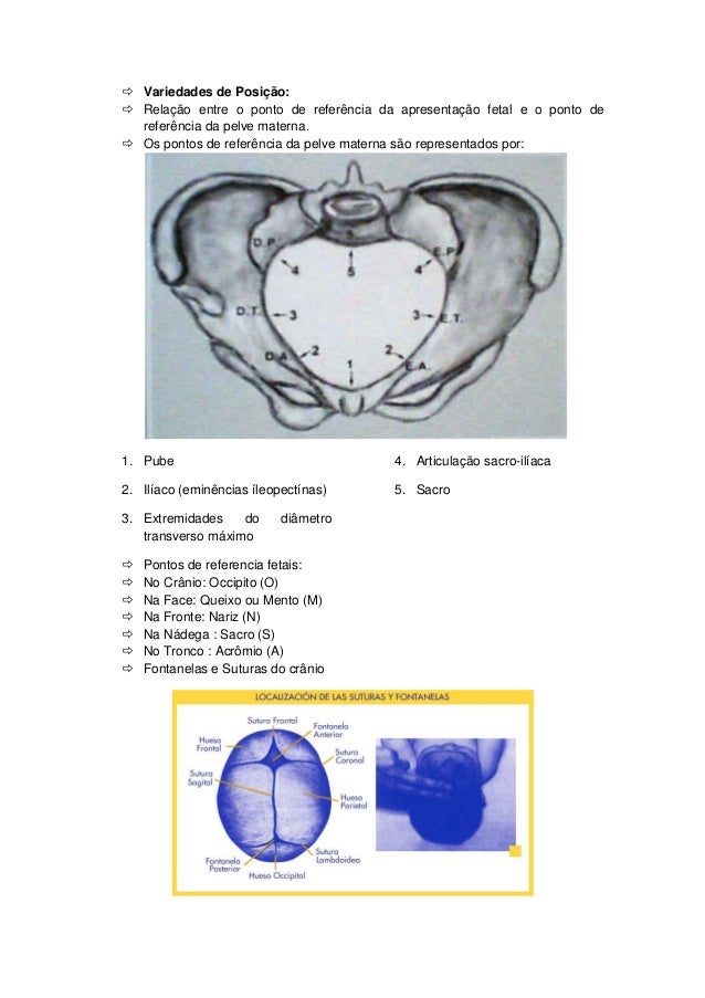 Caderno de obstetricia digitado