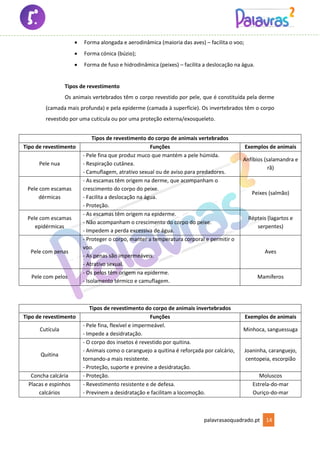 palavrasaoquadrado.pt 14
• Forma alongada e aerodinâmica (maioria das aves) – facilita o voo;
• Forma cónica (búzio);
• Forma de fuso e hidrodinâmica (peixes) – facilita a deslocação na água.
Tipos de revestimento
Os animais vertebrados têm o corpo revestido por pele, que é constituída pela derme
(camada mais profunda) e pela epiderme (camada à superfície). Os invertebrados têm o corpo
revestido por uma cutícula ou por uma proteção externa/exosqueleto.
Tipos de revestimento do corpo de animais vertebrados
Tipo de revestimento Funções Exemplos de animais
Pele nua
- Pele fina que produz muco que mantém a pele húmida.
- Respiração cutânea.
- Camuflagem, atrativo sexual ou de aviso para predadores.
Anfíbios (salamandra e
rã)
Pele com escamas
dérmicas
- As escamas têm origem na derme, que acompanham o
crescimento do corpo do peixe.
- Facilita a deslocação na água.
- Proteção.
Peixes (salmão)
Pele com escamas
epidérmicas
- As escamas têm origem na epiderme.
- Não acompanham o crescimento do corpo do peixe.
- Impedem a perda excessiva de água.
Répteis (lagartos e
serpentes)
Pele com penas
- Proteger o corpo, manter a temperatura corporal e permitir o
voo.
- As penas são impermeáveis.
- Atrativo sexual.
Aves
Pele com pelos
- Os pelos têm origem na epiderme.
- Isolamento térmico e camuflagem.
Mamíferos
Tipos de revestimento do corpo de animais invertebrados
Tipo de revestimento Funções Exemplos de animais
Cutícula
- Pele fina, flexível e impermeável.
- Impede a desidratação.
Minhoca, sanguessuga
Quitina
- O corpo dos insetos é revestido por quitina.
- Animais como o caranguejo a quitina é reforçada por calcário,
tornando-a mais resistente.
- Proteção, suporte e previne a desidratação.
Joaninha, caranguejo,
centopeia, escorpião
Concha calcária - Proteção. Moluscos
Placas e espinhos
calcários
- Revestimento resistente e de defesa.
- Previnem a desidratação e facilitam a locomoção.
Estrela-do-mar
Ouriço-do-mar
 