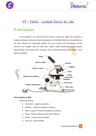 palavrasaoquadrado.pt 24
VI – Célula – unidade básica de vida
O microscópio
O microscópio é um instrumento ótico comum sistema de lentes que ampliam as
imagens de objetos ou de seres vivos muito pequenos. O holandês Anton van Leeuwenhoek, no
séc. XVII, inventou um microscópio simples, com uma só lente. Este microscópio permitia
aumenta uma imagem cerca de 200 vezes. Robert Hooke aperfeiçoou o microscópio,
desenvolvendo microscópio ótico composto. Estes desenvolvimentos possibilitaram novos
avanços científicos.
Parte mecânica do MOC
Sistema de suporte:
• Tubo ótico – suporta as oculares;
• Revólver – suporta as objetivas e roda-as;
• Braço – suporta o sistema de objetivas e oculares;
• Pinças – fixam o objeto que queremos observar;
• Platina – onde se coloca o objeto;
• Base / pé – apoio do MOC.
 