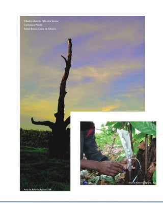 Cláudio Eduardo Félix dos Santos
Conceição Paludo
Rafael Bastos Costa de Oliveira




                                   Área de Reforma Agrária - BA


Área de Reforma Agrária - BA
 