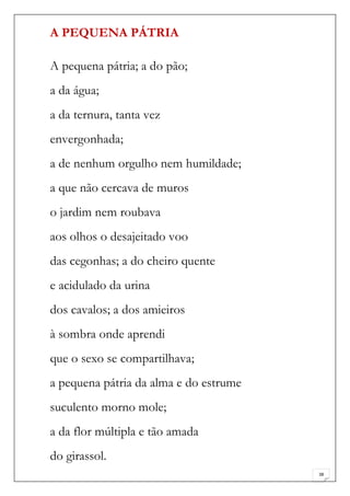 A PEQUENA PÁTRIA

A pequena pátria; a do pão;
a da água;
a da ternura, tanta vez
envergonhada;
a de nenhum orgulho nem humildade;
a que não cercava de muros
o jardim nem roubava
aos olhos o desajeitado voo
das cegonhas; a do cheiro quente
e acidulado da urina
dos cavalos; a dos amieiros
à sombra onde aprendi
que o sexo se compartilhava;
a pequena pátria da alma e do estrume
suculento morno mole;
a da flor múltipla e tão amada
do girassol.
                                        38
 
