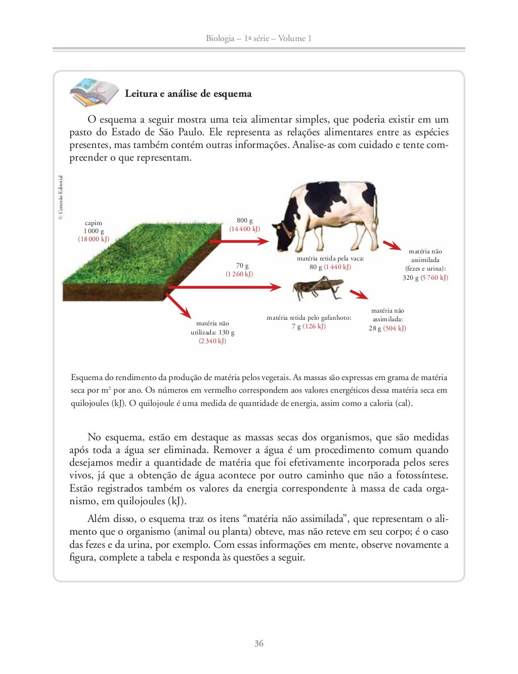 Resposta Apostila De Biologia 1 Ano Volume 1