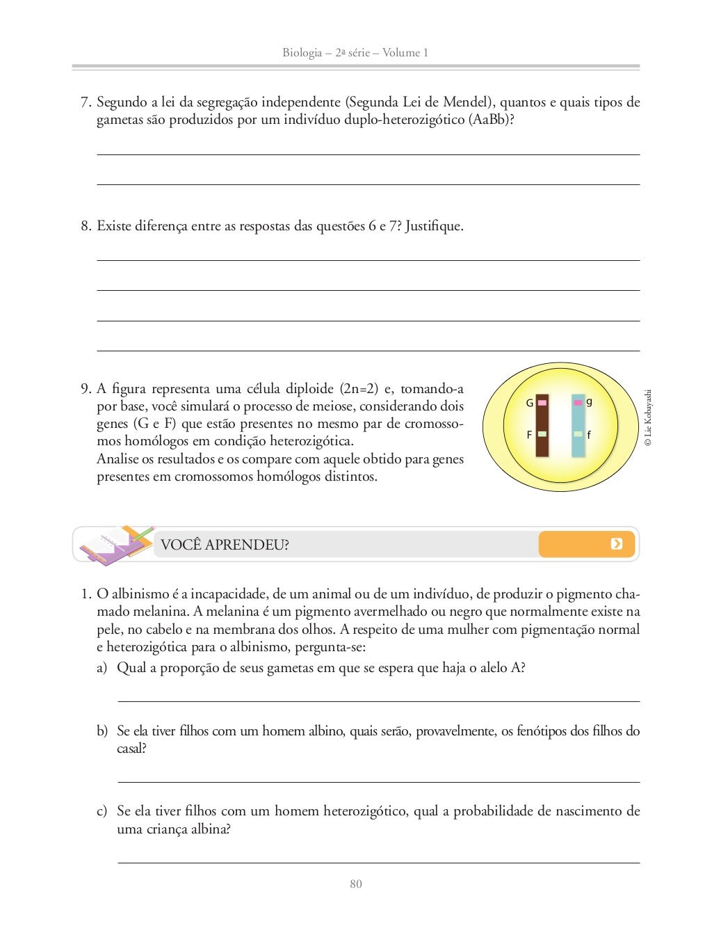 Caderno Do Aluno Volume 2 Geografia 8 Ano