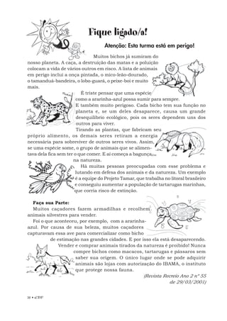 32 • EBF
Fique ligado/a!
Atenção: Esta turma está em perigo!
Muitos bichos já sumiram do
nosso planeta. A caça, a destruição das matas e a poluição
colocam a vida de vários outros em risco. A lista de animais
em perigo inclui a onça pintada, o mico-leão-dourado,
o tamanduá-bandeira, o lobo-guará, o peixe-boi e muito
mais.
É triste pensar que uma espécie
como a ararinha-azul possa sumir para sempre.
E também muito perigoso. Cada bicho tem sua função no
planeta e, se um deles desaparece, causa um grande
desequilíbrio ecológico, pois os seres dependem uns dos
outros para viver.
Tirando as plantas, que fabricam seu
próprio alimento, os demais seres retiram a energia
necessária para sobreviver de outros seres vivos. Assim,
se uma espécie some, o grupo de animais que se alimen-
tava dela fica sem ter o que comer. E aí começa a bagunça
na natureza.
Há muitas pessoas preocupadas com esse problema e
lutando em defesa dos animais e da natureza. Um exemplo
é a equipe do Projeto Tamar, que trabalha no litoral brasileiro
e conseguiu aumentar a população de tartarugas marinhas,
que corria risco de extinção.
Faça sua Parte:
Muitos caçadores fazem armadilhas e recolhem
animais silvestres para vender.
Foi o que aconteceu, por exemplo, com a ararinha-
azul. Por causa de sua beleza, muitos caçadores
capturavam essa ave para comercializar como bicho
de estimação nas grandes cidades. E por isso ela está desaparecendo.
Vender e comprar animais tirados da natureza é proibido! Nunca
compre bichos como macacos, tartarugas e pássaros sem
saber sua origem. O único lugar onde se pode adquirir
animais são lojas com autorização do IBAMA, o instituto
que protege nossa fauna.
(Revista Recreio Ano 2 nº 55
de 29/03/2001)
 