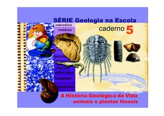 SÉRIE Geologia na Escola
5
caderno
A História Geológica da Vida
animais e plantas fósseis
 