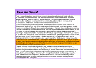 A fossilização é um acontecimento raro, é um conjunto de processos químicos e físicos, graças aos quais
os restos dos organismos se transformam em fósseis. De todos os organismos que habitaram o planeta ao
longo do tempo, só uma pequena parcela fossilizou e, provavelmente, uma pequeníssima parte dos que
fossilizaram foi até agora descoberta e estudada.
Para que aconteça a fossilização é necessário que, após a morte, os restos sejam sepultados
imediatamente pelos sedimentos, a fim de protegê-los dos agentes que podem causar a destruição
como microorganismos responsáveis pela decomposição, animais predadores, das correntes aquáticas,
ondas e ventos, que provocam desgaste e fragmentação. As partes mais duras e resistentes como os
ossos, dentes, conchas e lignina da madeira, têm maior probabilidade de fossilizar do que as partes
moles que se decompõem mais rápido. Depois do soterramento sob uma camada mais ou menos
espessa de sedimentos, os restos dos organismos sofrem o mesmo processo que transforma os
sedimentos em rocha - a diagênese.
O que são fósseis?
Fóssil é o resto de qualquer organismo que viveu em épocas passadas e conservou-se até hoje
no interior das rochas sedimentares. São também considerados fósseis, os traços das atividades
destes organismos, como por exemplo, rastros de vermes - icnofóssil e os escrementos - coprólitos.
As dimensões dos fósseis variam de milésimos de milímetros, só observáveis ao microscópio -
os microfósseis, até dezenas de metros como dos grandes dinossauros.
Os fósseis são a nossa janela para o passado. Permitem o aprendizado sobre a vida extinta, e os
ecossistemas de outras eras. Mas temos que aprender em primeiro lugar como os organismos vivos se
transformam em fósseis. O estudo do processo de fossilização é chamado tafonomia. Este processo inclui
tudo que acontece a um organismo após a morte. Nem todo organismo se transforma em um fóssil; de fato,
é incomum, porque os fósseis só se preservam sob determinadas condições. Especialmente rara, é a
preservação das partes moles dos organismos. Geralmente, os organismos que vivem dentro, ou próximos
da água são mais prováveis de serem preservados como fósseis do que os organismos que vivem na terra.
Isto é porque se formam mais rochas sob a água do que na terra. ATerra é geralmente um lugar de
destruição com o intemperismo e a erosão, e os organismos mortos são destruídos e não preservados.
14
 
