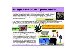 16
No Devoniano aparecem as primeiras plantas
arbóreas e as primeiras florestas, que acabaram
dominando no Carbonífero. O Permiano sofre os
efeitos de uma glaciação. No início do Mesozóico,
surgem os primeiros mares entre os continentes
mas a flora continua sendo bem desenvolvidas nas
terras submersas. No Triássico, são evidentes as
conseqüências da glaciação permiana e da crise
geral no fim do Paleozóico. Desaparecem quase
todos os lepidodendrons, sigillarias e cordaitalis.
Das algas unicelulares até as grandes florestas
Os primeiros testemunhos de vida sobre a Terra são do Pré-Cambriano. São microfósseis
unicelulares chamados estromatólitos. São estruturas sedimentares orgânicas, finamente
laminadas devido à atividade de micro organismos, como algas azuis e bactérias.
Os estromatólitos mais antigos são provenientes de camadas depositadas em mares rasos
há 3.500 milhões de anos.
A vida evoluiu no mar com a diferenciação das algas e fungos. A grande diversificação das algas ocorreu
entre o Cambriano e o Siluriano, enquanto a conquista da terra firme aconteceu quando os vegetais
adquiriram condições para sobreviver em um ambiente diferente da água.
pteridófita
atual
Cordaitali
Lepidodendron
Sigillaria
estromatólitos
pteridófita
fóssil
As primeiras floras terrestre apareceram
entre o Ordoviciano médio e Siluriano inferior
e provavelmente dominaram as pteridófitas.
 