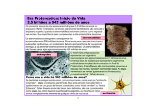 Era Proterozóica: Início da Vida
3,5 bilhões a 543 milhões de anos
Os primeiros traços da vida apareceram há quase 3,5 bilhões de anos no
arqueano inferior. Entretanto, os fósseis claramente identificáveis são raros até o
arqueano superior, quando os estromatólitos se tornam comuns como registros
nas rochas. Sua importância para compreender a vida proterozóica é enorme.
O fóssil mais antigo que pode
representar um organismo
macroscópico tem aproximadamente 2,1 bilhões de anos.
Diversos tipos de fósseis que representam organismos
multicelulares simples são encontrados no final do
Proterozóico. Estes fósseis são compressões pequenas e
escuras nas rochas, e podem representar algas.As algas
vermelhas e as verdes apareceram no Proterozóico,
provavelmente há 1 bilhão de anos.
Os estromatólitos começaram a desaparecer há
aproximadamente 700 milhões de anos. Uma teoria para o seu declínio é que o
eukaryotes herbivorous, um protozoário, talvez a primeira forma de vida animal,
começou a se alimentar extensivamente de estromatólitos. Os estromatólitos
são fósseis raros após aproximadamente 450 milhões de anos.
Como era a vida há 560 milhões de anos?
As bactérias e as algas verdes eram comuns nos mares, como eram os "acritarchs
enigmatic" , algas unicelulares plantônicas. Mas este período marca também o
aparecimento de um grupo de fósseis conhecidos como “biota vendian” ou “fauna
Ediacara". Estes fósseis ainda não foram bem definidos; são ora considerados
como algas, ora como líquens ou protozoários gigantes, ou mesmo um reino
animal completamente diferente de qualquer forma de vida atual.
eukaryotes
estromatólitos
18
acritarchs
 
