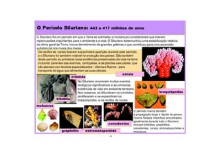 O Siluriano foi um período em que a Terra se submeteu a mudanças consideráveis que tiveram
repercussões importantes para o ambiente e a vida. O Siluriano testemunhou uma estabilização relativa
do clima geral da Terra, houve derretimento de grandes geleiras o que contribuiu para uma ascensão
substancial nos níveis dos mares.
No Siluriano ocorreram muitos eventos
biológicos significativos e as primeiras
evidências de vida em ambiente terrestre.
Nos oceanos, se difundiram os crinóides,
proliferaram e se expandiram os
braquiópodes, e os recifes de corais.
O Período Siluriano: 443 a 417 milhões de anos
Os recifes de corais fizeram sua primeira aparição durante este período,
e o Siluriano foi também notável na evolução dos peixes. São também
deste período as primeiras boas evidências preservadas da vida na terra
incluindo parentes das aranhas, centopéias, e de plantas vasculares, que
são plantas com tecidos especializados - xilema e fluema - para
transporte de água que alimentam as suas células.
21
corais
O período marca também
a propagação larga e rápida de peixes.
Outros fósseis marinhos encontrados
geralmente durante todo o Siluriano
incluem trilobitas, graptólitos,
conodontes, corais, stromatoporóides e
moluscos.
braquiópodas
conodontes
estromatoporóide
graptólito
moluscos
trilobita
crinóide
 
